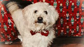Ralphy's Christmas Special