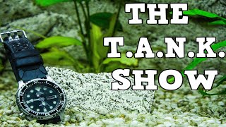 🔴 The T.A.N.K Show - Aquarium Talk And Help Live (LIVESTREAM)