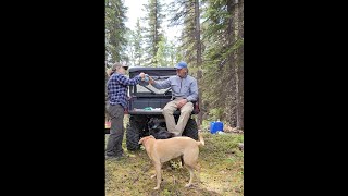 Building the "Driveway" (trail) Into our Off-Grid  Property