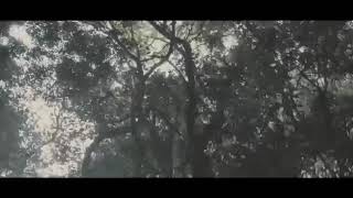 1988 Film Teaser