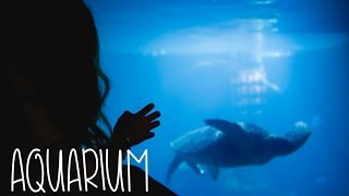 Aquarium