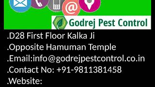 Hurry Up Get 20% Discount Pest Control in Delhi | South Delhi