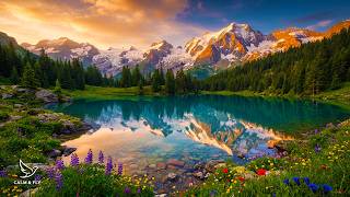 Relaxing Piano Music for Deep Sleep 🌙 Peaceful Nature Sounds & Calm Melodies for Stress Relief