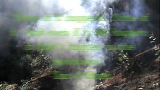 The things they carried