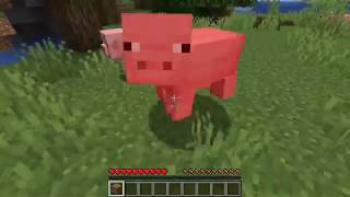 Help ME Play Minecraft!