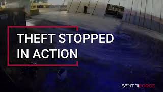 Theft In Progress | Don't Gamble With Security