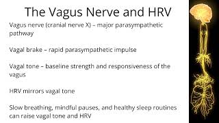 Why Heart Rate Variability Matters