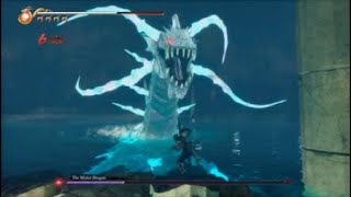 Ninja Gaiden 2 Black-  Water Dragon Bossfight PS5Pro
