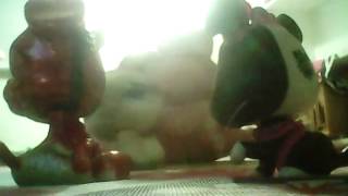 LPs jackie x phone guy an odd travel