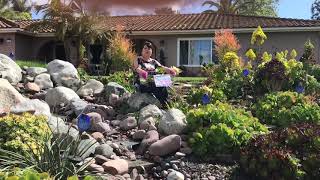 AT HOME WITH HANNALEI - Mrs. Rice