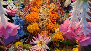 Jay Bhavani official Garba night LIVE #jaybhavaniofficial #garba #garbanavratri