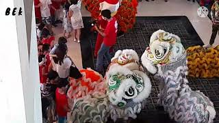 So Amazing Gaizz💥💥💥 Lion Dance Show Time💥💥💥