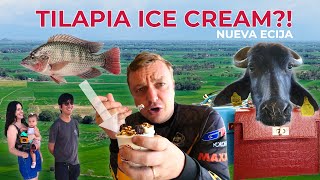 Philippines Tilapia Ice Cream! Life in Nueva Ecija