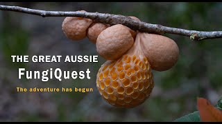 THE GREAT AUSSIE FUNGIQUEST - THE ADVENTURE HAS BEGUN