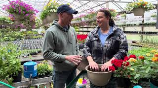 How to Make FULL Geranium Baskets + A NEW Plant We LOVE!