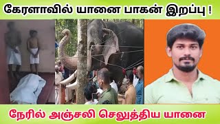 #Breaking | கேரளாவில் உயிரிழந்த யானை பாகன் , நேரில் வந்து அஞ்சலி செலுத்திய யானை | elephant | Tamil