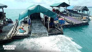 How 9 Billion Phones Are Powered By Rare Metals | Business Insider Marathon