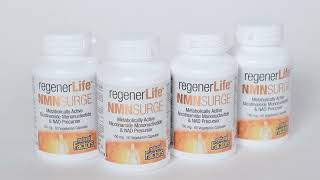Support for Optimal Energy - Natural Factors NMNSurge