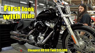2020 Harley Davidson Softail Standard