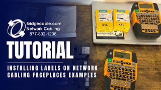 Installing Labels on Network Cabling Faceplates and Position Examples | Training BridgeCable.com