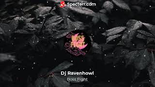 Boss Fight By Dj Raven Howl
