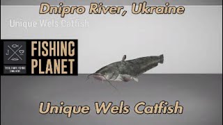 Unique Wels Catfish Dnipro River Ukraine Fishing Planet Guide