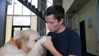 TmarTn - I'm Sorry - Deleted Apology Video By TmarTn (Reupload)