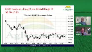 Markets Show Signs of Life; What's Next?