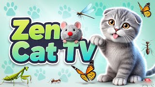 Zen Cat TV | Cat Games Indoors & Backyard with Cute Animals & Cat Toys #6