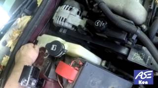 cooling system flush DYI environmentally friendly.