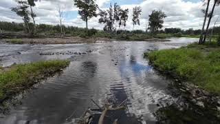 2024 03 21 Nepean Riverbank 9