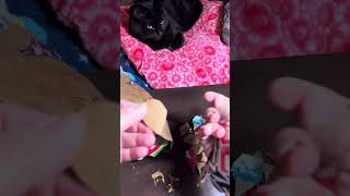 Howto make paper or cardboard pine cone scales for your paper dragon!  Part one!
