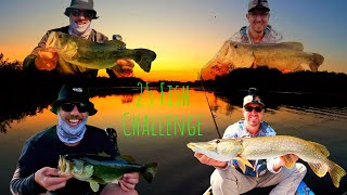 How Did We Catch so Many Bass in Just 6 Hours?