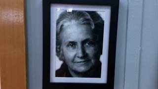 Little Oak Montessori 15 Year Celebration Video