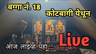 Balumama Krupa Part 799 Live |#balumamabakari | #balumamasong