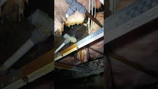 Integrity Restoration - Mold Remediation Before