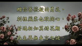 AI Music Video74薔薇之戀 G Key Bpm80#Lofi #老派風 #溫柔療癒 #優しく癒