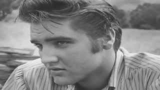 Thank you, Elvis ♥