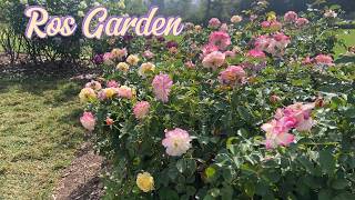 Huntington Library - Rose Garden
