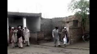 ICMS Tarana updated 2
