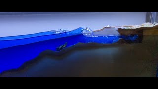 Reflections 1 ... a study in wave reflections into on-coming waves