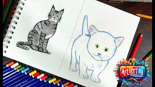 How to Draw a CAT: Easy Step by Step Tutorial for Beginners