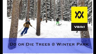 Do or Die Trees at Winter Park Resort, CO