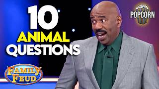 Best Animal Questions That Will Make You LAUGH! | Family Feud