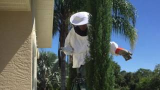 African Bee Hive