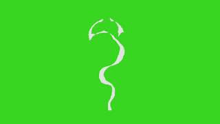 #green screen green screen editing video