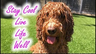 Garden Cool down - Live Life Well
