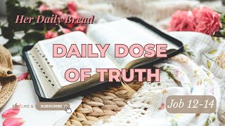Job Speaks Boldly: Questioning God’s Wisdom | Job 12–14