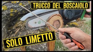 How to sharpen a chainsaw blade in the woods, without a bench, without electricity... ONLY FILE