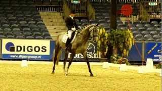 Vai Bruntink met Babushka @ NIC Assen wint kur Z2